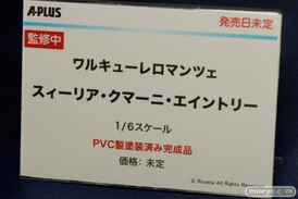 ワンダーフェスティバル 2015［夏］ 画像　サンプル　レビュー　フィギュア　エイプラス　リアス　スィーリア　05
