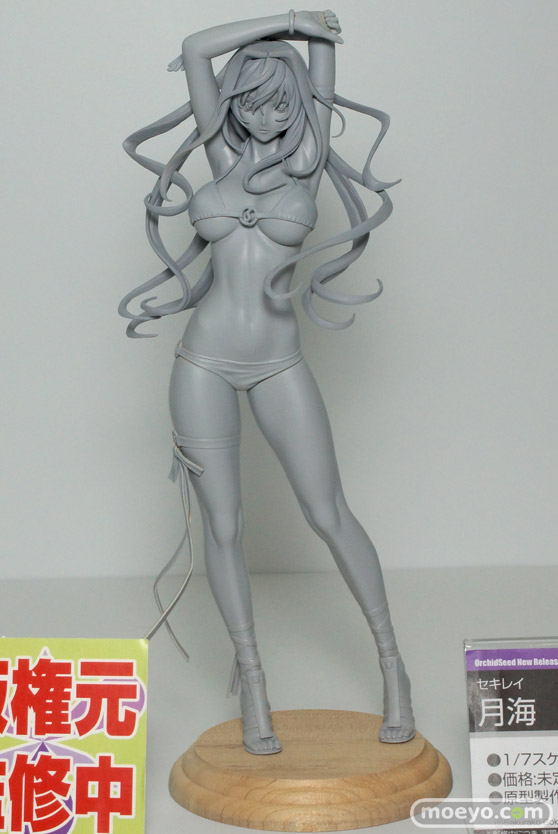 ワンダーフェスティバル 2015［夏］ 画像　サンプル　レビュー　フィギュア　オーキッドシード　向坂環　二条秋　07