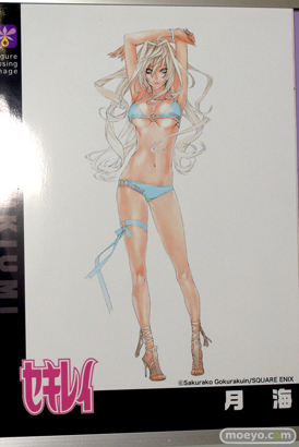 ワンダーフェスティバル 2015［夏］ 画像　サンプル　レビュー　フィギュア　オーキッドシード　向坂環　二条秋　09