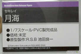 ワンダーフェスティバル 2015［夏］ 画像　サンプル　レビュー　フィギュア　オーキッドシード　向坂環　二条秋　10