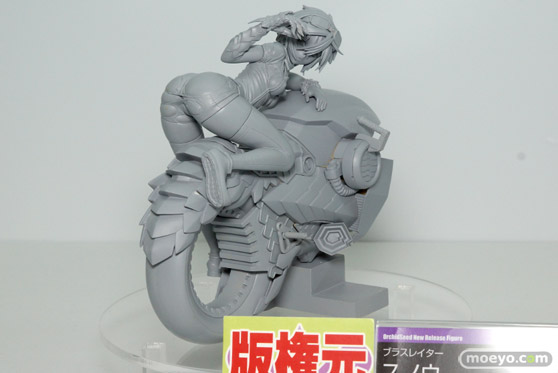 ワンダーフェスティバル 2015［夏］ 画像　サンプル　レビュー　フィギュア　オーキッドシード　向坂環　二条秋　13