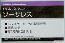 ワンダーフェスティバル 2015［夏］ 画像　サンプル　レビュー　フィギュア　オーキッドシード　向坂環　二条秋　16