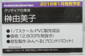 ワンダーフェスティバル 2015［夏］ 画像　サンプル　レビュー　フィギュア　オーキッドシード　向坂環　二条秋　22