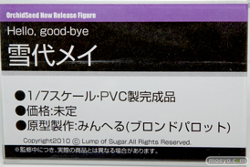 ワンダーフェスティバル 2015［夏］ 画像　サンプル　レビュー　フィギュア　オーキッドシード　向坂環　二条秋　40