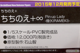 ワンダーフェスティバル 2015［夏］ 画像　サンプル　レビュー　フィギュア　オーキッドシード　向坂環　二条秋　44