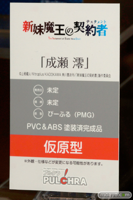 ワンダーフェスティバル 2015［夏］ 画像　サンプル　レビュー　フィギュア　プルクラ　野中柚希　成瀬澪　05