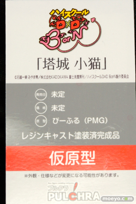 ワンダーフェスティバル 2015［夏］ 画像　サンプル　レビュー　フィギュア　プルクラ　野中柚希　成瀬澪　08