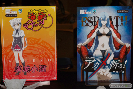 ワンダーフェスティバル 2015［夏］ 画像　サンプル　レビュー　フィギュア　プルクラ　野中柚希　成瀬澪　11