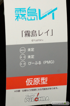 ワンダーフェスティバル 2015［夏］ 画像　サンプル　レビュー　フィギュア　プルクラ　野中柚希　成瀬澪　15