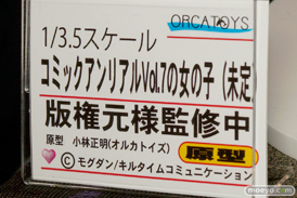 ワンダーフェスティバル 2015［夏］ 画像　サンプル　レビュー　フィギュア　オルカトイズ　小林正明　03