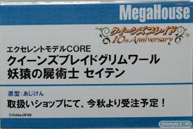 ワンダーフェスティバル 2015［夏］ 画像　サンプル　レビュー　フィギュア　メガハウス　05