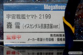 ワンダーフェスティバル 2015［夏］ 画像　サンプル　レビュー　フィギュア　メガハウス　21