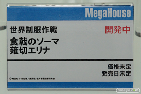 ワンダーフェスティバル 2015［夏］ 画像　サンプル　レビュー　フィギュア　メガハウス　23