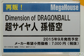 ワンダーフェスティバル 2015［夏］ 画像　サンプル　レビュー　フィギュア　メガハウス　46