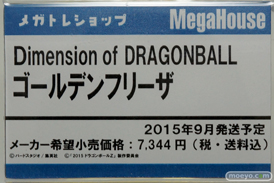 ワンダーフェスティバル 2015［夏］ 画像　サンプル　レビュー　フィギュア　メガハウス　50