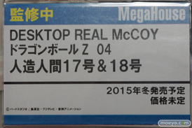ワンダーフェスティバル 2015［夏］ 画像　サンプル　レビュー　フィギュア　メガハウス　56