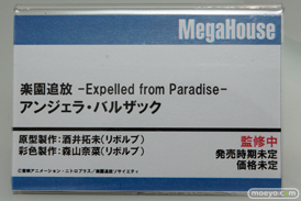 ワンダーフェスティバル 2015［夏］ 画像　サンプル　レビュー　フィギュア　メガハウス　80