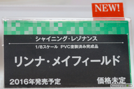ワンダーフェスティバル 2015［夏］ 画像　サンプル　レビュー　フィギュア　コトブキヤ　美少女　雪城冬華　03