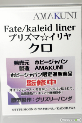ワンダーフェスティバル 2015［夏］ 画像　サンプル　レビュー　フィギュア　ホビージャパン　イリヤ　クロ　メイジ　02