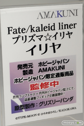 ワンダーフェスティバル 2015［夏］ 画像　サンプル　レビュー　フィギュア　ホビージャパン　イリヤ　クロ　メイジ　04