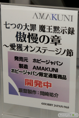 ワンダーフェスティバル 2015［夏］ 画像　サンプル　レビュー　フィギュア　ホビージャパン　イリヤ　クロ　メイジ　07