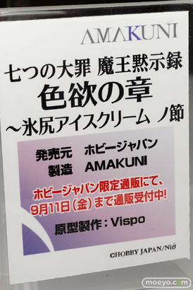 ワンダーフェスティバル 2015［夏］ 画像　サンプル　レビュー　フィギュア　ホビージャパン　イリヤ　クロ　メイジ　11