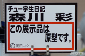 ワンダーフェスティバル 2015［夏］ 画像　サンプル　レビュー　フィギュア　岡山フィギュア・エンジニアリング　エロ　モロ　アダルト　06