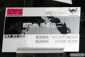 ワンダーフェスティバル 2015［夏］ 画像　サンプル　レビュー　フィギュア　バンダイ 霧島改二　矢澤にこ　早乙女らんま　ブルース・リー　　05