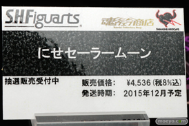 ワンダーフェスティバル 2015［夏］ 画像　サンプル　レビュー　フィギュア　バンダイ 霧島改二　矢澤にこ　早乙女らんま　ブルース・リー　　38