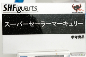 ワンダーフェスティバル 2015［夏］ 画像　サンプル　レビュー　フィギュア　バンダイ 霧島改二　矢澤にこ　早乙女らんま　ブルース・リー　　40