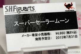 ワンダーフェスティバル 2015［夏］ 画像　サンプル　レビュー　フィギュア　バンダイ 霧島改二　矢澤にこ　早乙女らんま　ブルース・リー　　44