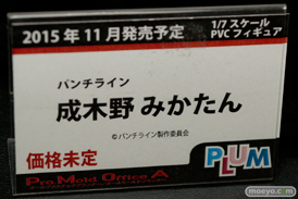 ワンダーフェスティバル 2015［夏］ 画像　サンプル　レビュー　フィギュア　プラム　成木野みかたん　03