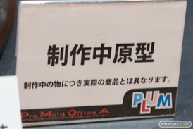 ワンダーフェスティバル 2015［夏］ 画像　サンプル　レビュー　フィギュア　プラム　成木野みかたん　04