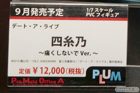 ワンダーフェスティバル 2015［夏］ 画像　サンプル　レビュー　フィギュア　プラム　成木野みかたん　06