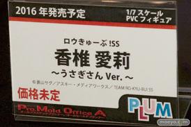 ワンダーフェスティバル 2015［夏］ 画像　サンプル　レビュー　フィギュア　プラム　成木野みかたん　10