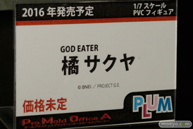 ワンダーフェスティバル 2015［夏］ 画像　サンプル　レビュー　フィギュア　プラム　成木野みかたん　15