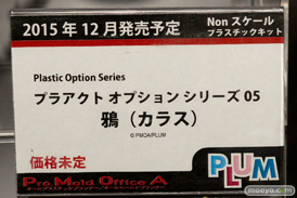 ワンダーフェスティバル 2015［夏］ 画像　サンプル　レビュー　フィギュア　プラム　成木野みかたん　18