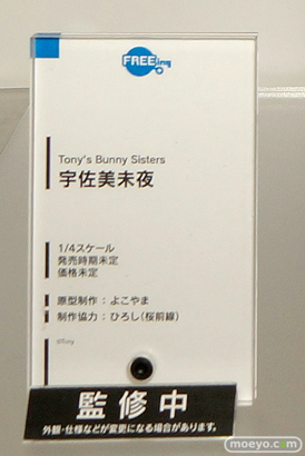 ワンダーフェスティバル 2015［夏］ 画像　サンプル　レビュー　フィギュア　フリーイング　黒木御影　宇佐美未夜　宇佐美深雪　06