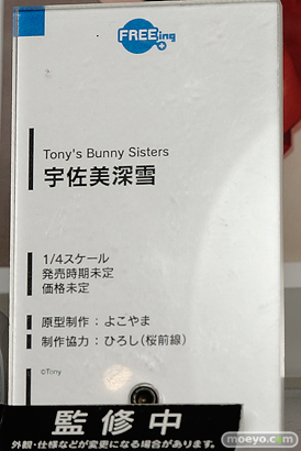 ワンダーフェスティバル 2015［夏］ 画像　サンプル　レビュー　フィギュア　フリーイング　黒木御影　宇佐美未夜　宇佐美深雪　07