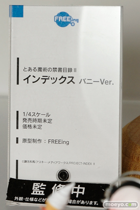 ワンダーフェスティバル 2015［夏］ 画像　サンプル　レビュー　フィギュア　フリーイング　黒木御影　宇佐美未夜　宇佐美深雪　22