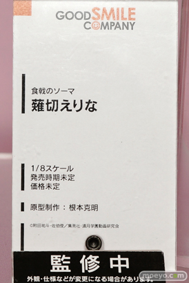 ワンダーフェスティバル 2015［夏］ 画像　サンプル　レビュー　フィギュア　グッドスマイルカンパニー　レーシングミク　矢澤にこ　ビスマルク　37