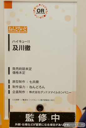 ワンダーフェスティバル 2015［夏］ 画像　サンプル　レビュー　フィギュア　グッドスマイルカンパニー　ねんどろいど　刀剣乱舞　ファイヤーエムブレム　ロックマン　スネーク　リンク　37