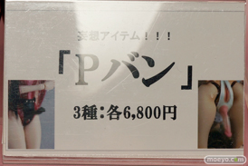 ワンダーフェスティバル 2015［夏］ 画像　サンプル　レビュー　フィギュア　ドール　リアルアートプロジェクト　エンジェルフィリア　03