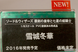 ワンダーフェスティバル 2015［夏］ 画像　サンプル　レビュー　フィギュア　コトブキヤ ソード＆ウィザーズ 覇剣の皇帝と七星の姫騎士 雪城冬華　13