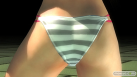 DEAD OR ALIVE 5 Last Round コーエーテクモ 画像 バリエーション 水着 ラブリーサマーコスチューム エレナ レイチェル フェーズ4 あやね 20