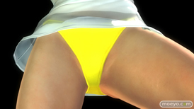 DEAD OR ALIVE 5 Last Round コーエーテクモ 画像 バリエーション 水着 ラブリーサマーコスチューム スジ クリスティ かすみ レイファン ミラ 10