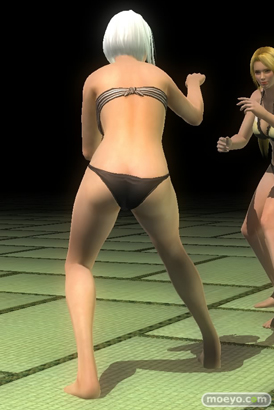 DEAD OR ALIVE 5 Last Round コーエーテクモ 画像 バリエーション 水着 ラブリーサマーコスチューム スジ クリスティ かすみ レイファン ミラ 27