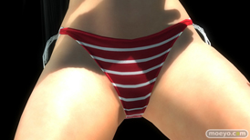 DEAD OR ALIVE 5 Last Round コーエーテクモ 画像 バリエーション 水着 ラブリーサマーコスチューム 女天狗 紅葉 リサ ほのか 15