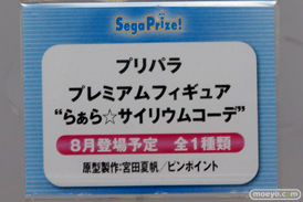 ワンダーフェスティバル 2015［夏］　画像　サンプル　レビュー　フィギュア　セガ　　初音ミク　ToLoveる　プリパラ　エヴァンゲリオン　09