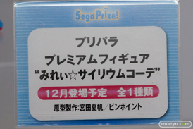 ワンダーフェスティバル 2015［夏］　画像　サンプル　レビュー　フィギュア　セガ　　初音ミク　ToLoveる　プリパラ　エヴァンゲリオン　11